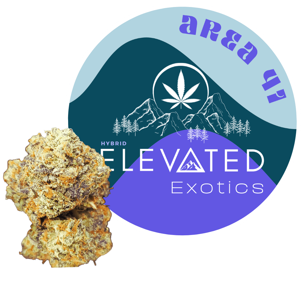 Area 41 Exotic Hybrid Cannabis Strain at Elevated Exotics