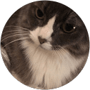 James Wieczorek profile picture