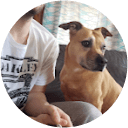 Patrick Nieuwdorp profile picture