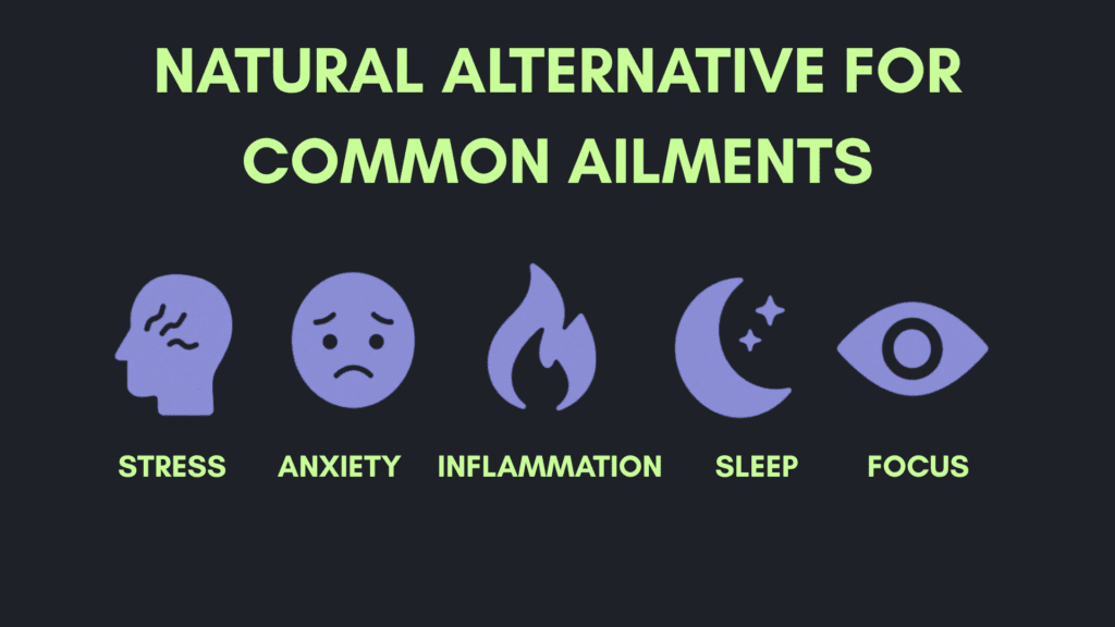 “A benefits chart or visual list showing icons for pain, anxiety, inflammation, sleep, and focus, with short 1-line captions.”
